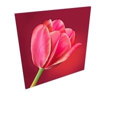 Red tulip on canvas