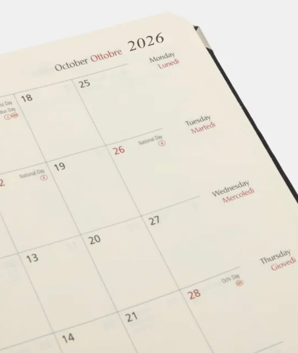 Midnight in the Garden