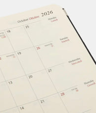 Midnight in the Garden