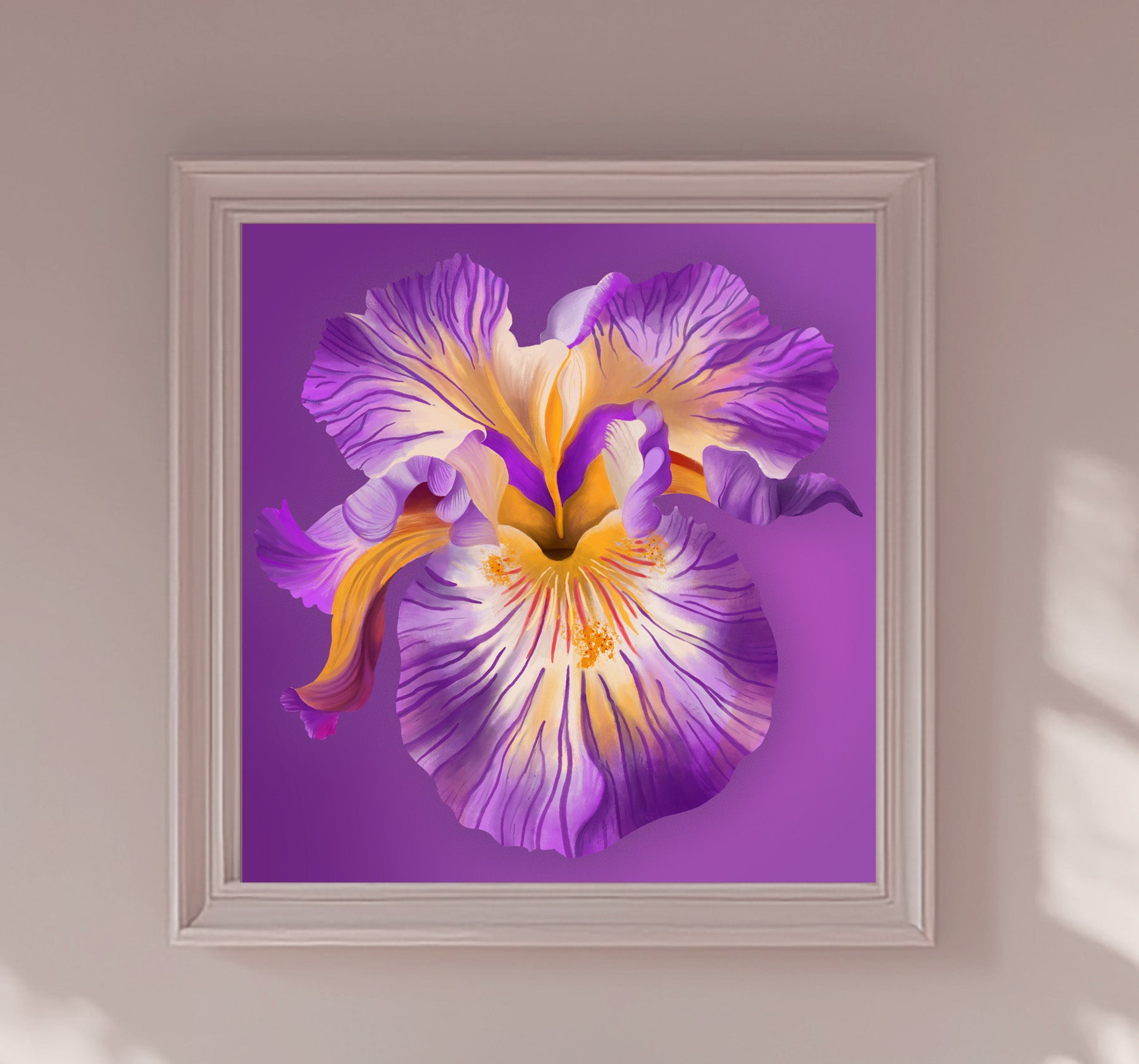 Purple Iris
